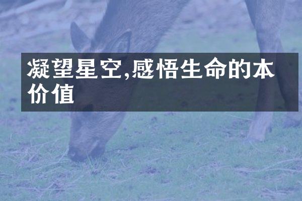 凝望星空,感悟生命的本真价值