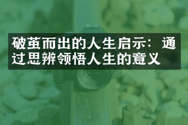 破茧而出的人生启示：通过思辨领悟人生的意义