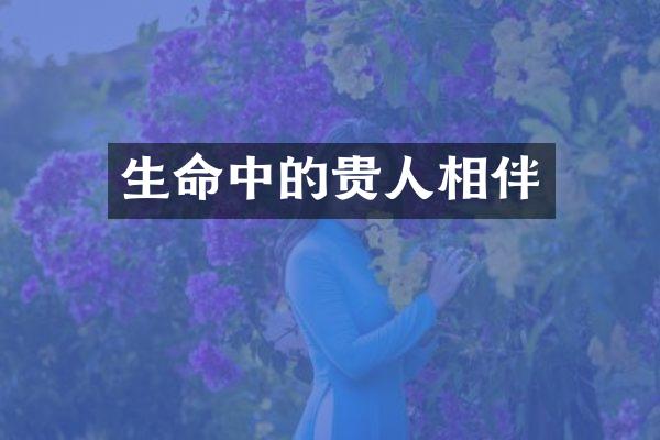 生命中的贵人相伴