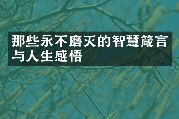 那些永不磨灭的智慧箴言与人生感悟