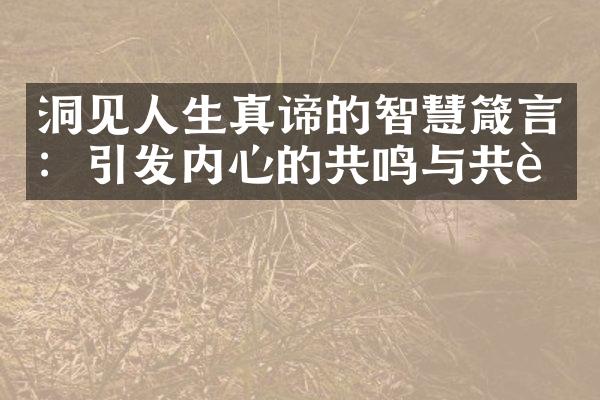 洞见人生真谛的智慧箴言：引发内心的共鸣与共识
