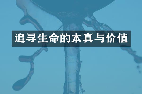 追寻生命的本真与价值