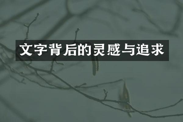 文字背后的灵感与追求