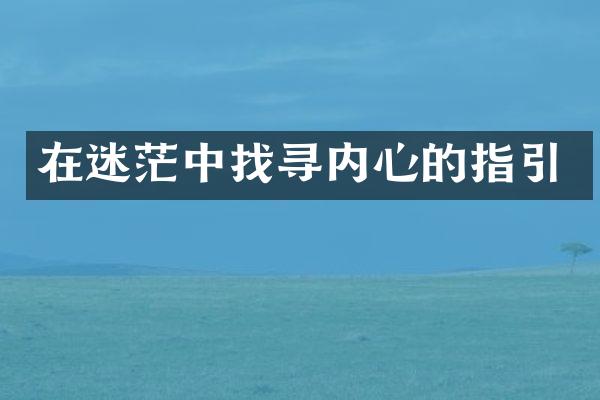 在迷茫中找寻内心的指引
