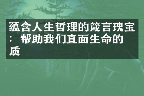 蕴含人生哲理的箴言瑰宝：帮助我们直面生命的本质