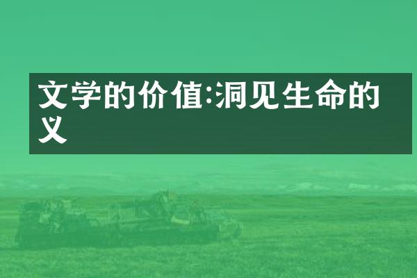 文学的价值:洞见生命的意义