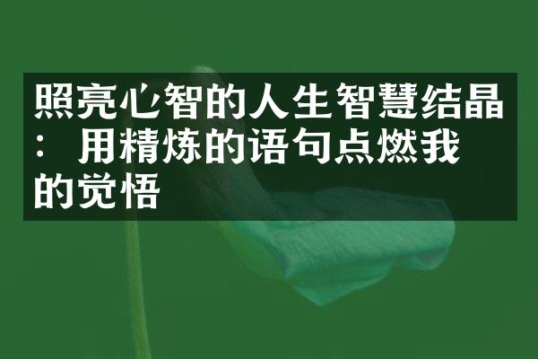 照亮心智的人生智慧结晶：用精炼的语句点燃我们的觉悟