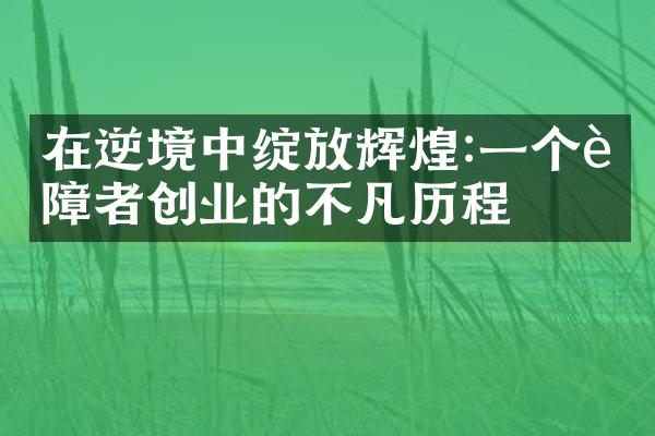 在逆境中绽放辉煌:一个身障者创业的不凡