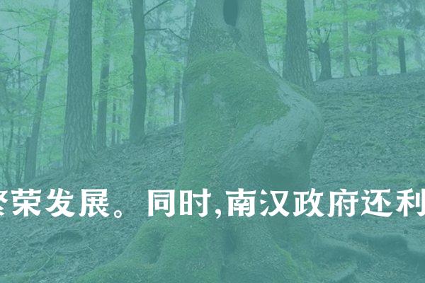 其次,南汉还在粤东地区建立了一系列港口城市,如汕头、海丰等,并大力发展海上贸易。这些港口成为当时粤东地区的商贸中心,极大地促进了地区经济的繁荣发展。同时,南汉还