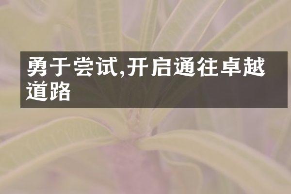 勇于尝试,开启通往卓越的道路