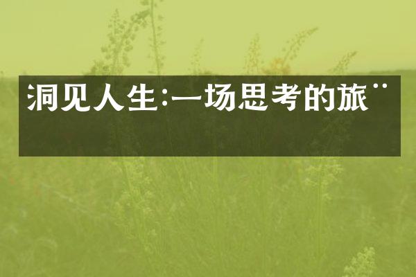 洞见人生:一场思考的旅程