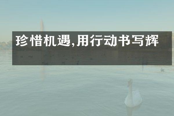 珍惜机遇,用行动书写辉煌