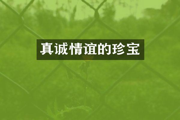 真诚情谊的珍宝