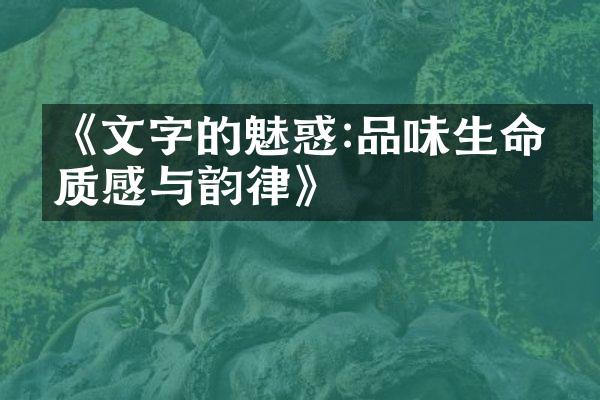 《文字的魅惑:品味生命的质感与韵律》