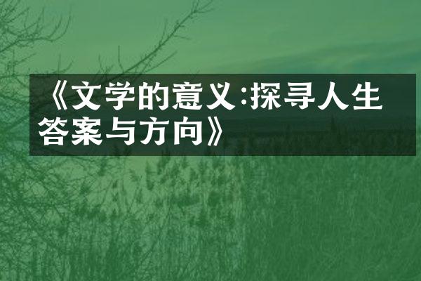 《文学的意义:探寻人生的答案与方向》