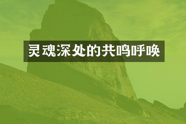 灵魂深处的共鸣呼唤