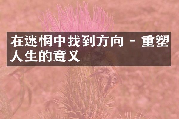在迷惘中找到方向 - 重塑人生的意义