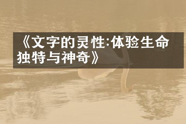 《文字的灵性:体验生命的独特与神奇》
