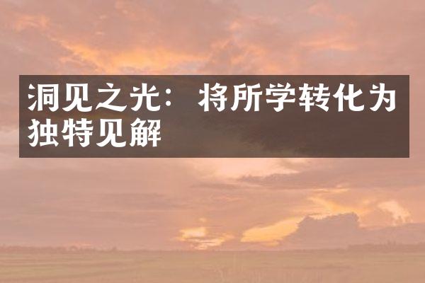 洞见之光：将所学转化为独特见解