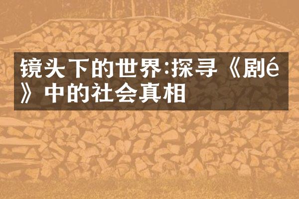 镜头下的世界:探寻《剧集》中的社会真相