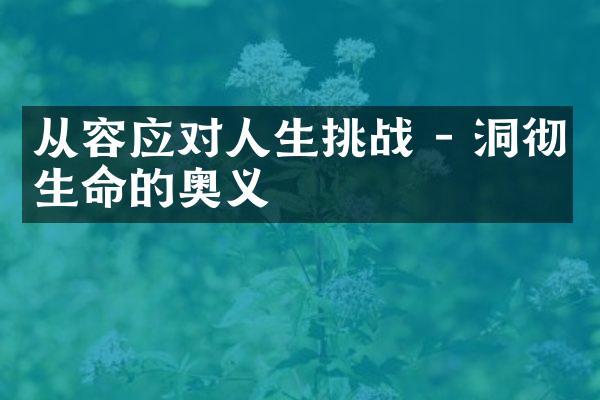 从容应对人生挑战 - 洞彻生命的奥义