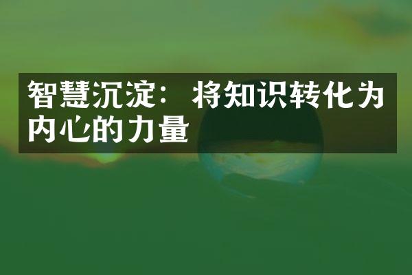 智慧沉淀：将知识转化为内心的力量