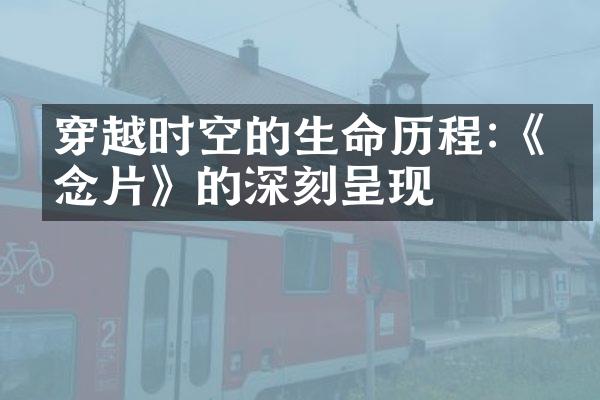 穿越时空的生命:《片》的深刻呈现