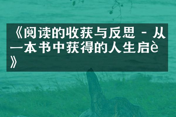 《阅读的收获与反思 - 从一本书中获得的人生启迪》