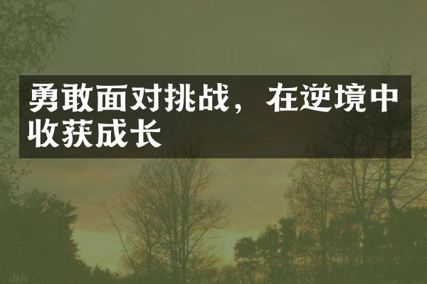 勇敢面对挑战,在逆境中收获成长