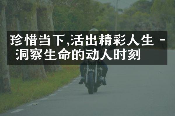 珍惜当下,活出精彩人生 - 洞察生命的动人时刻