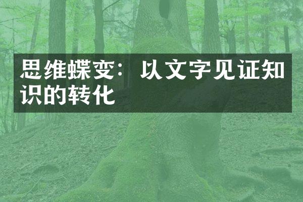 思维蝶变：以文字见证知识的转化