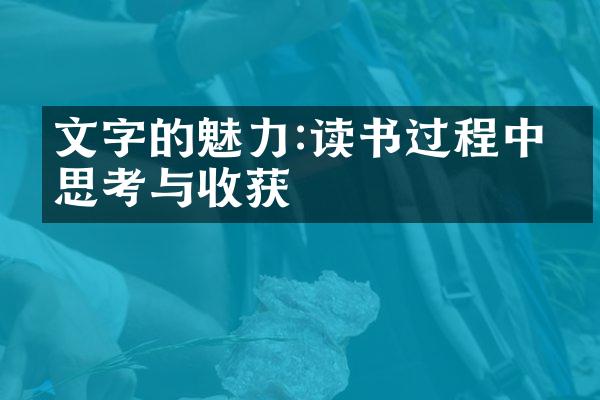 文字的魅力:读书过程中的思考与收获
