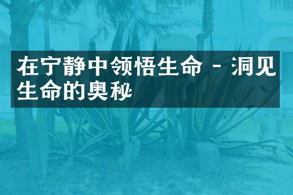 在宁静中领悟生命 - 洞见生命的奥秘