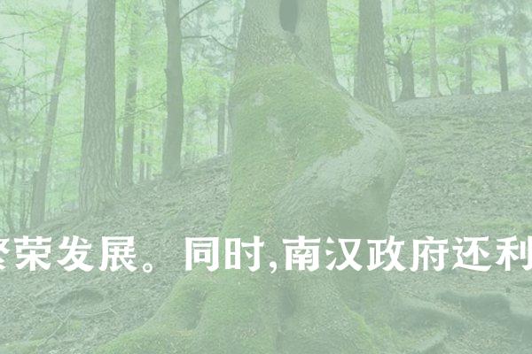 其次,南汉还在粤东地区建立了一系列港口城市,如汕头、海丰等,并大力发展海上贸易。这些港口成为当时粤东地区的商贸中心,极大地促进了地区经济的繁荣发展。同时,南汉还