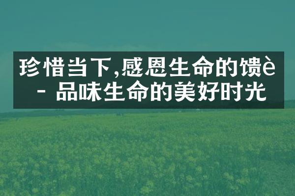 珍惜当下,感恩生命的馈赠 - 品味生命的美好时光