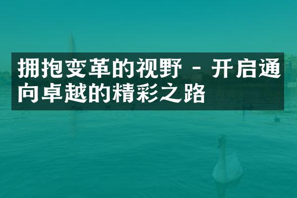 拥抱变革的视野 - 开启通向卓越的精彩之路