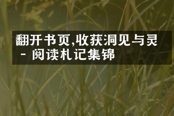 翻开书页,收获洞见与灵感 - 阅读札记集锦