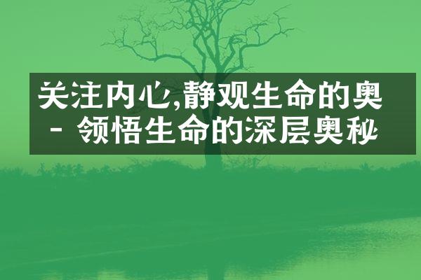 关注内心,静观生命的奥义 - 领悟生命的深层奥秘