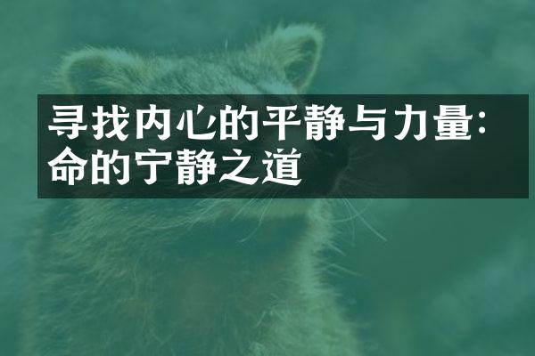 寻找内心的平静与力量:生命的宁静之道