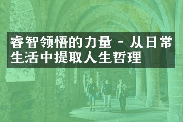 睿智领悟的力量 - 从日常生活中提取人生哲理