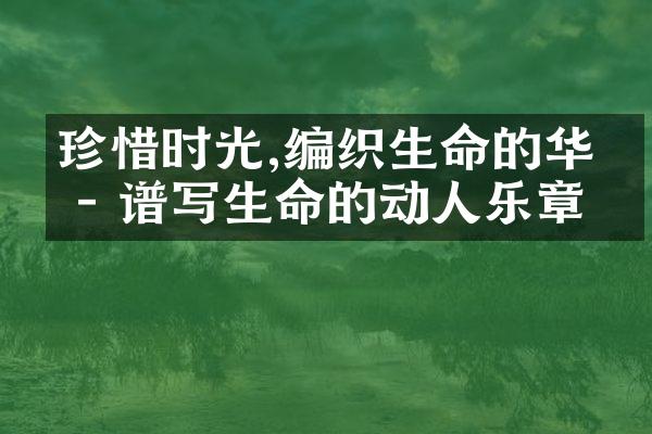 珍惜时光,编织生命的华彩 - 谱写生命的动人乐章