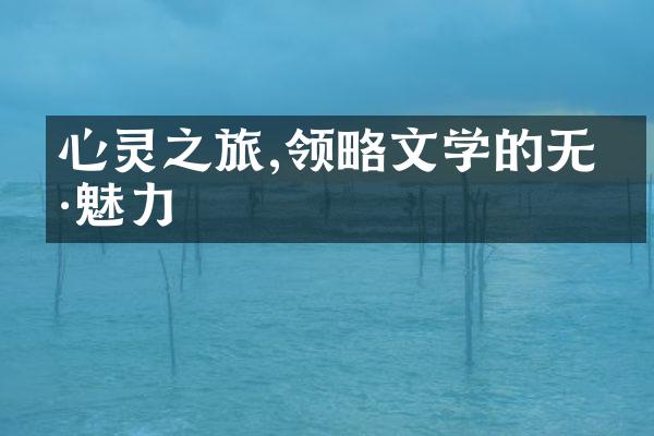 心灵之旅,领略文学的无穷魅力