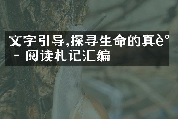 文字引导,探寻生命的真谛 - 阅读札记汇编