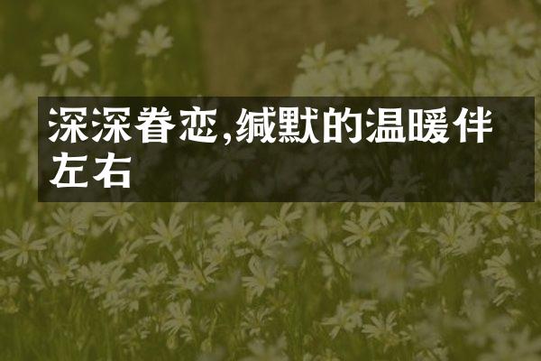 深深眷恋,缄默的温暖伴我左右