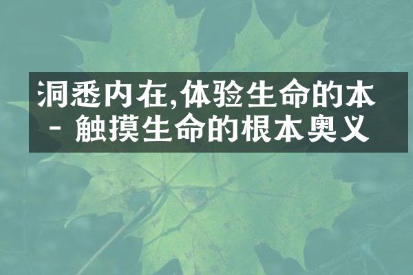 洞悉内在,体验生命的本真 - 触摸生命的根本奥义