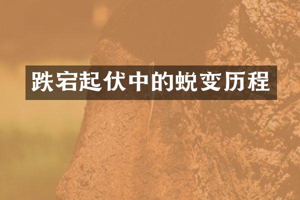 跌宕起伏中的蜕变