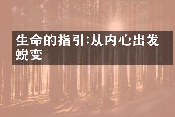 生命的指引:从内心出发的蜕变