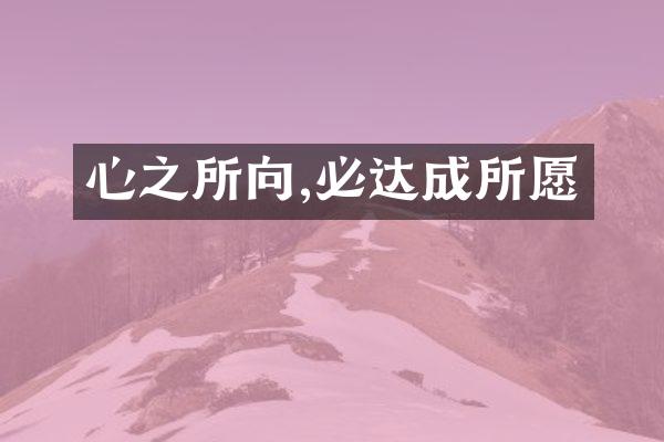 心之所向,必达成所愿