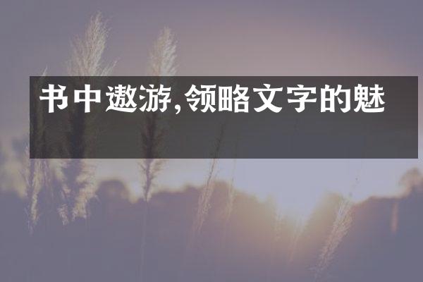 书中遨游,领略文字的魅力