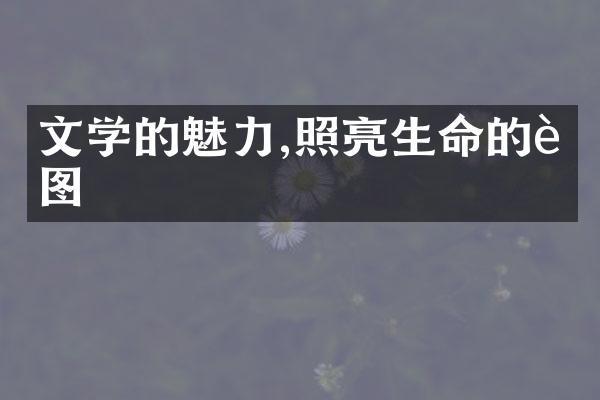文学的魅力,照亮生命的蓝图